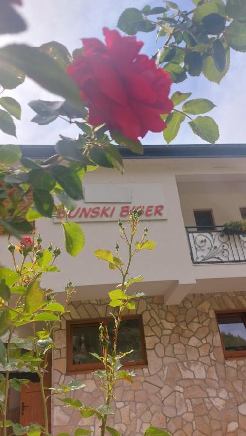 בלאגאי Villa Bunski Biser מראה חיצוני תמונה